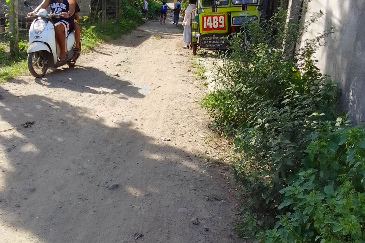 Land for Sale in Banilad, Bacong, Negros Oriental – photo 3