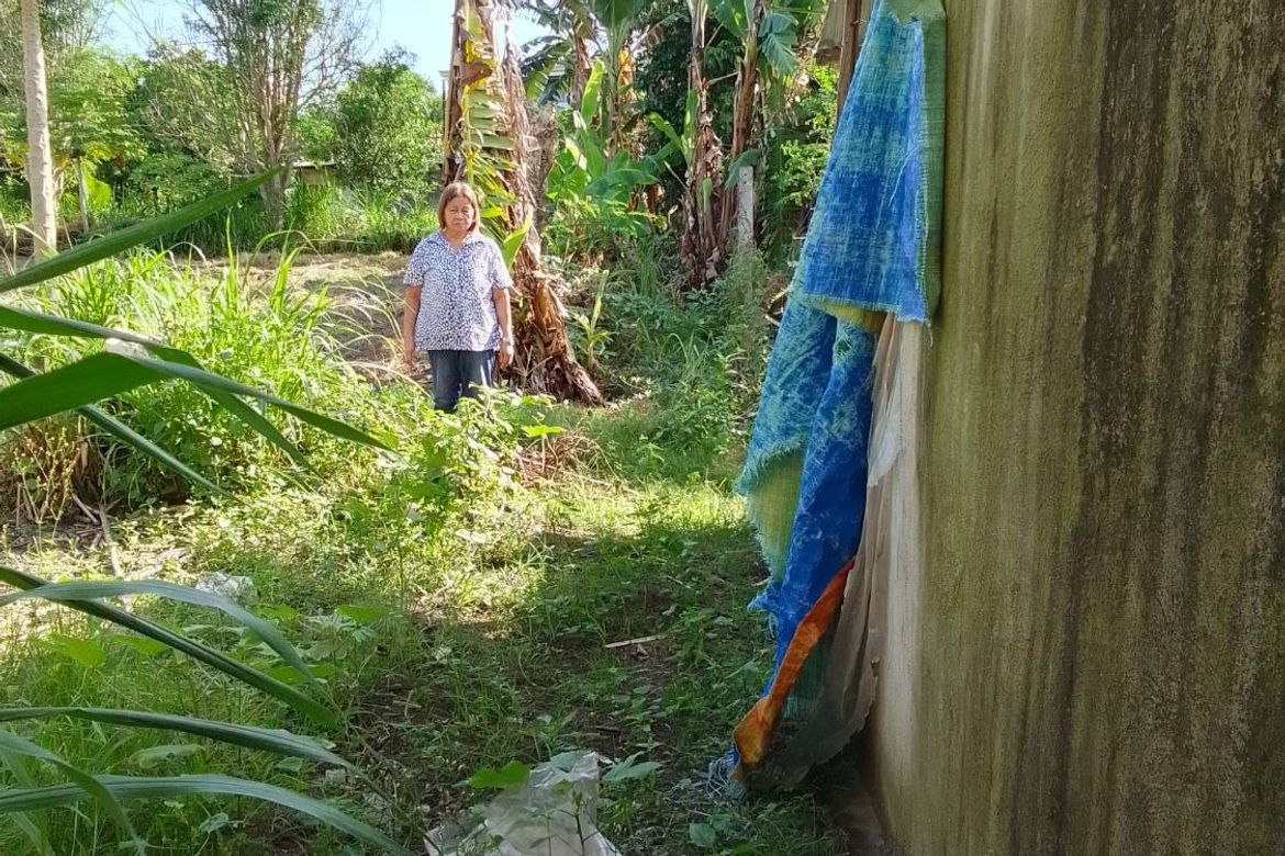 Land for Sale in Banilad, Bacong, Negros Oriental – photo 6