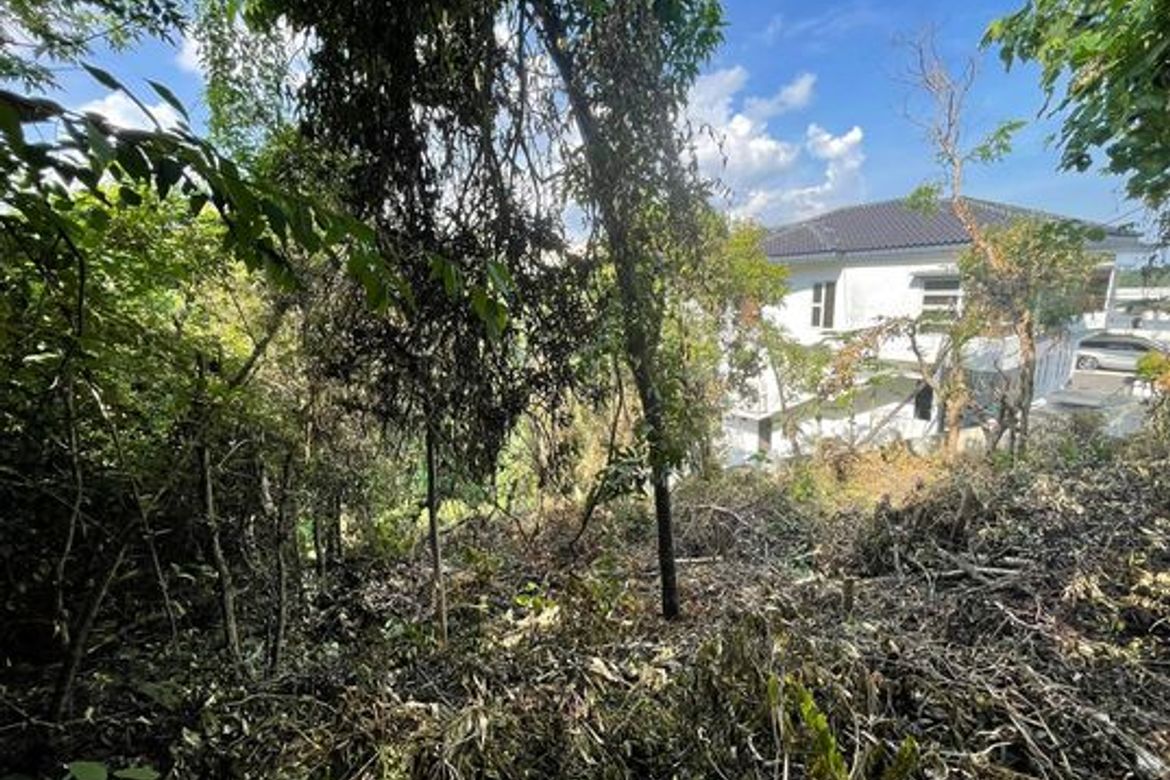 Land for Sale in Banilad, Cebu City, Cebu – photo 4