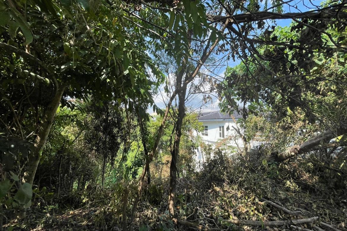 Land for Sale in Banilad, Cebu City, Cebu – photo 8