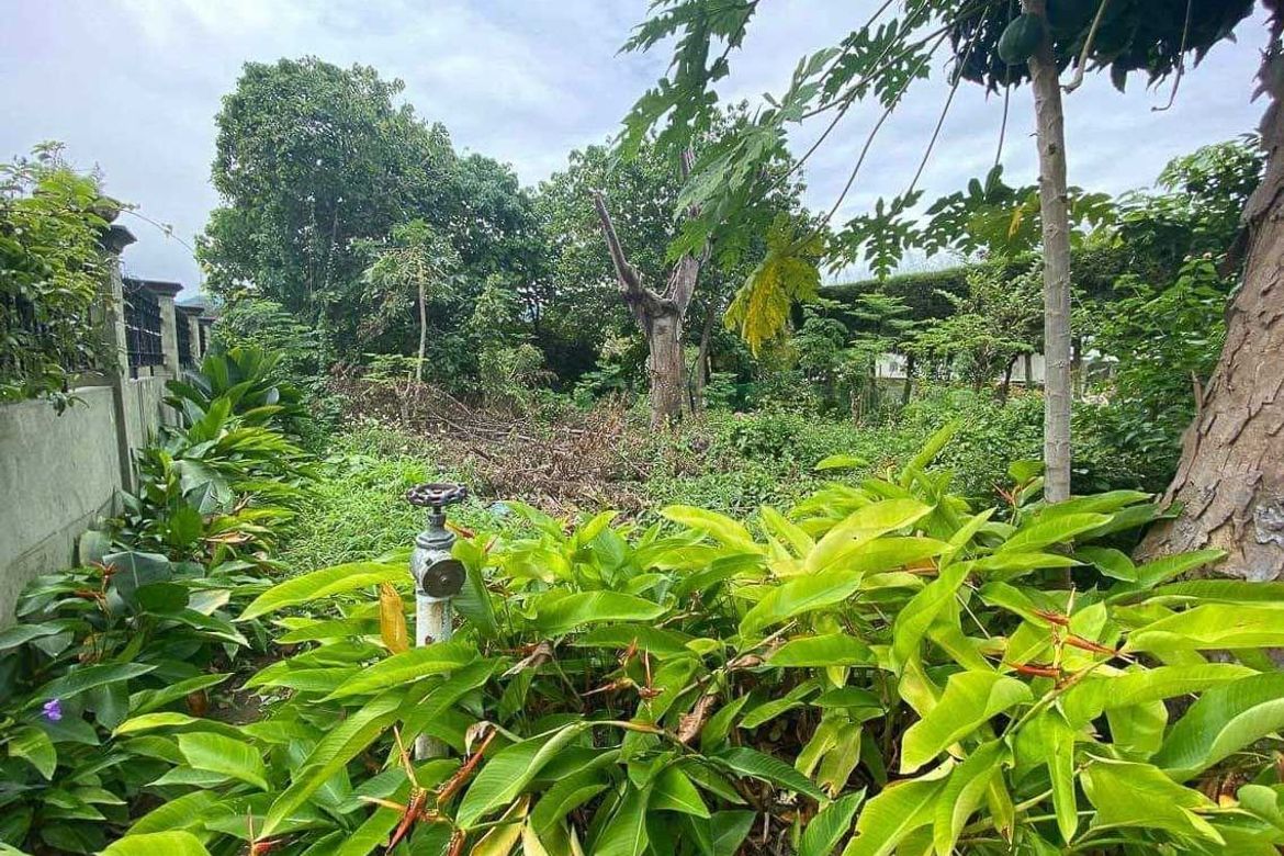 Land for Sale in Banilad, Cebu City, Cebu – photo 7