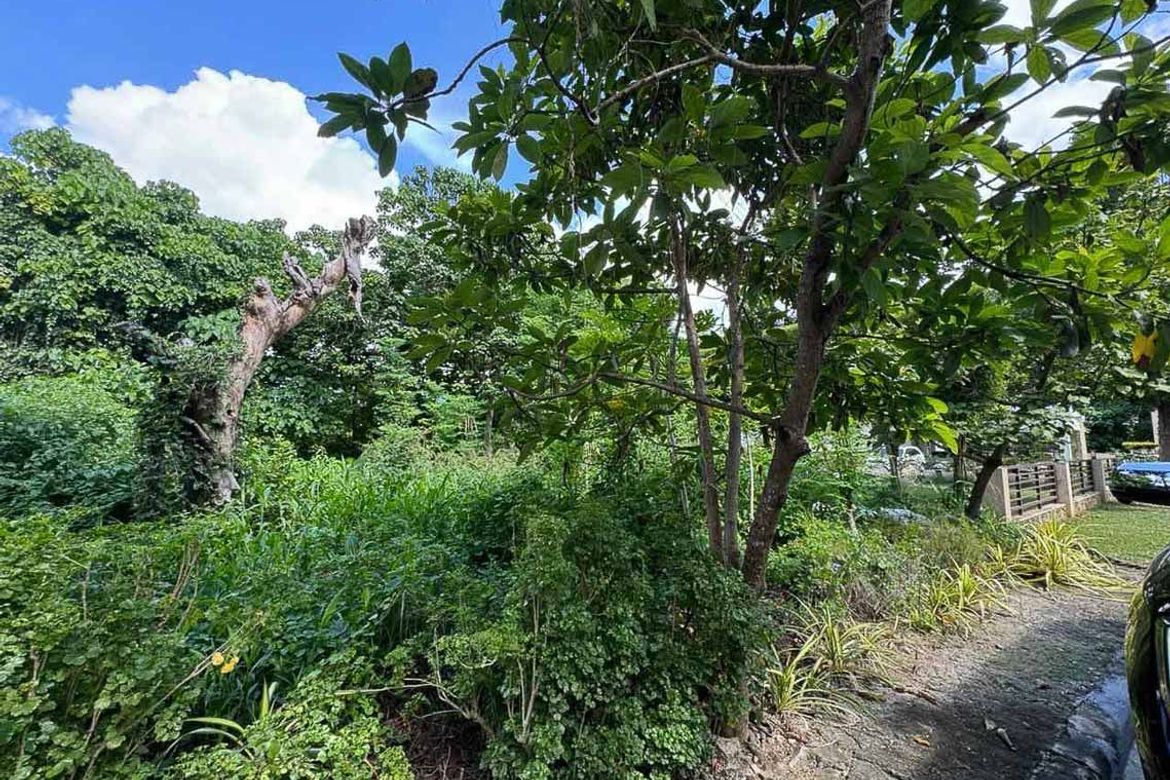 Land for Sale in Banilad, Cebu City, Cebu – photo 8