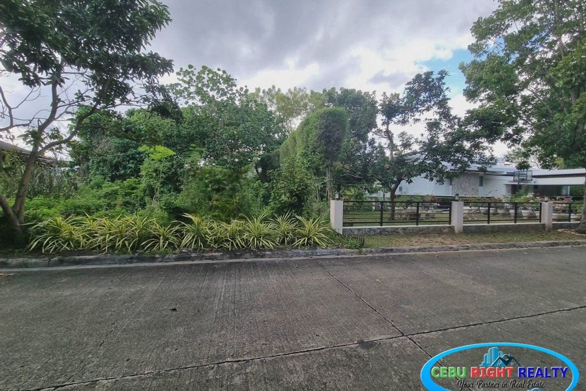 Land for Sale in Banilad, Cebu City, Cebu – photo 5