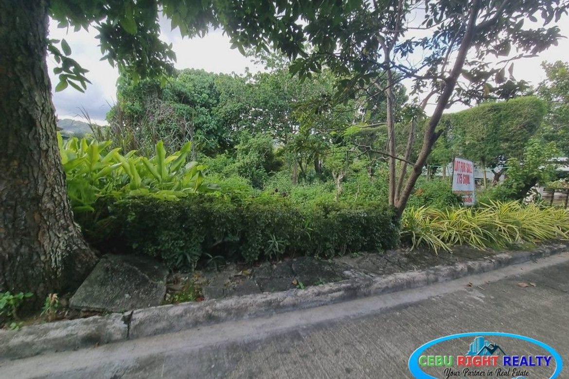 Land for Sale in Banilad, Cebu City, Cebu – photo 6