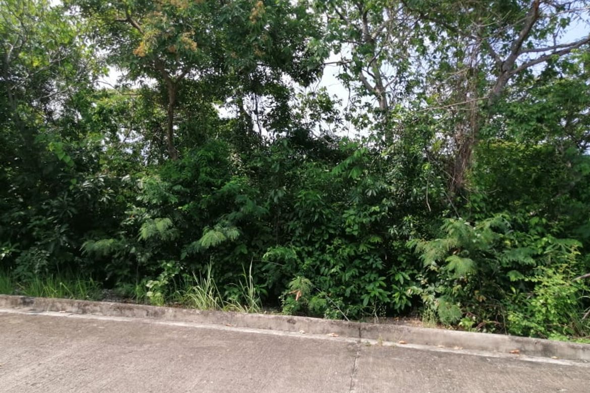 Land for Sale in Banilad, Cebu City, Cebu – photo 2