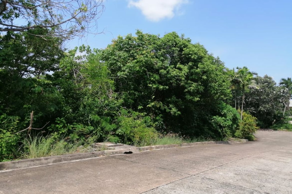 Land for Sale in Banilad, Cebu City, Cebu – photo 3