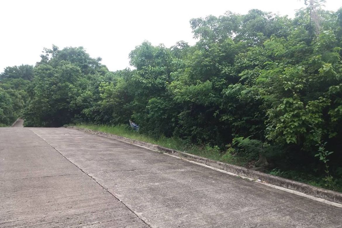 Land for Sale in Banilad, Cebu City, Cebu – photo 4