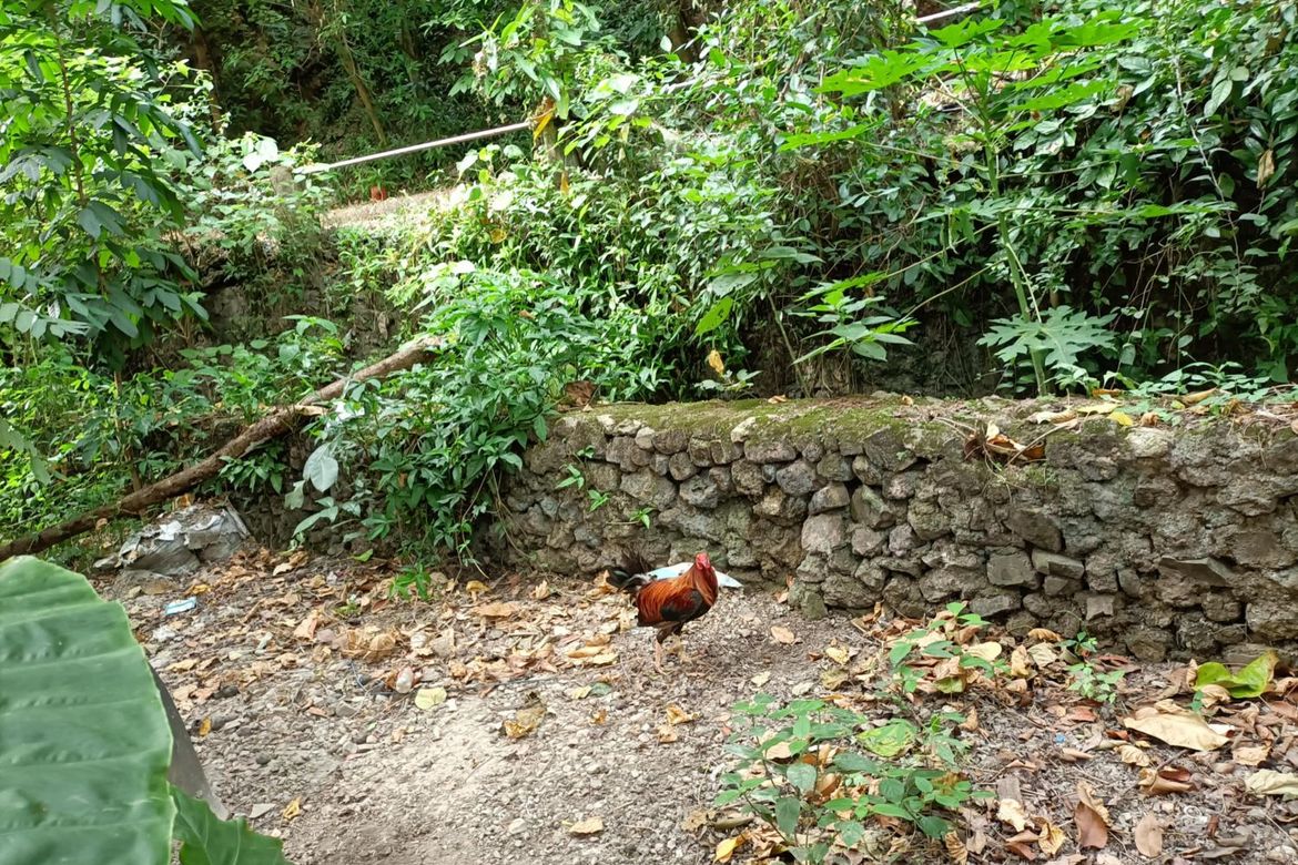 Land for Sale in Banilad, Cebu City, Cebu