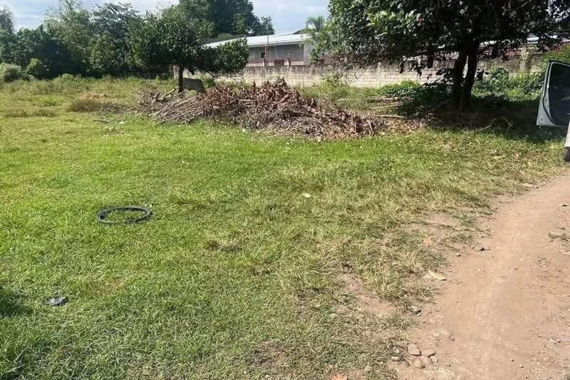 Land for Sale in Banilad, Dumaguete, Negros Oriental – photo 3