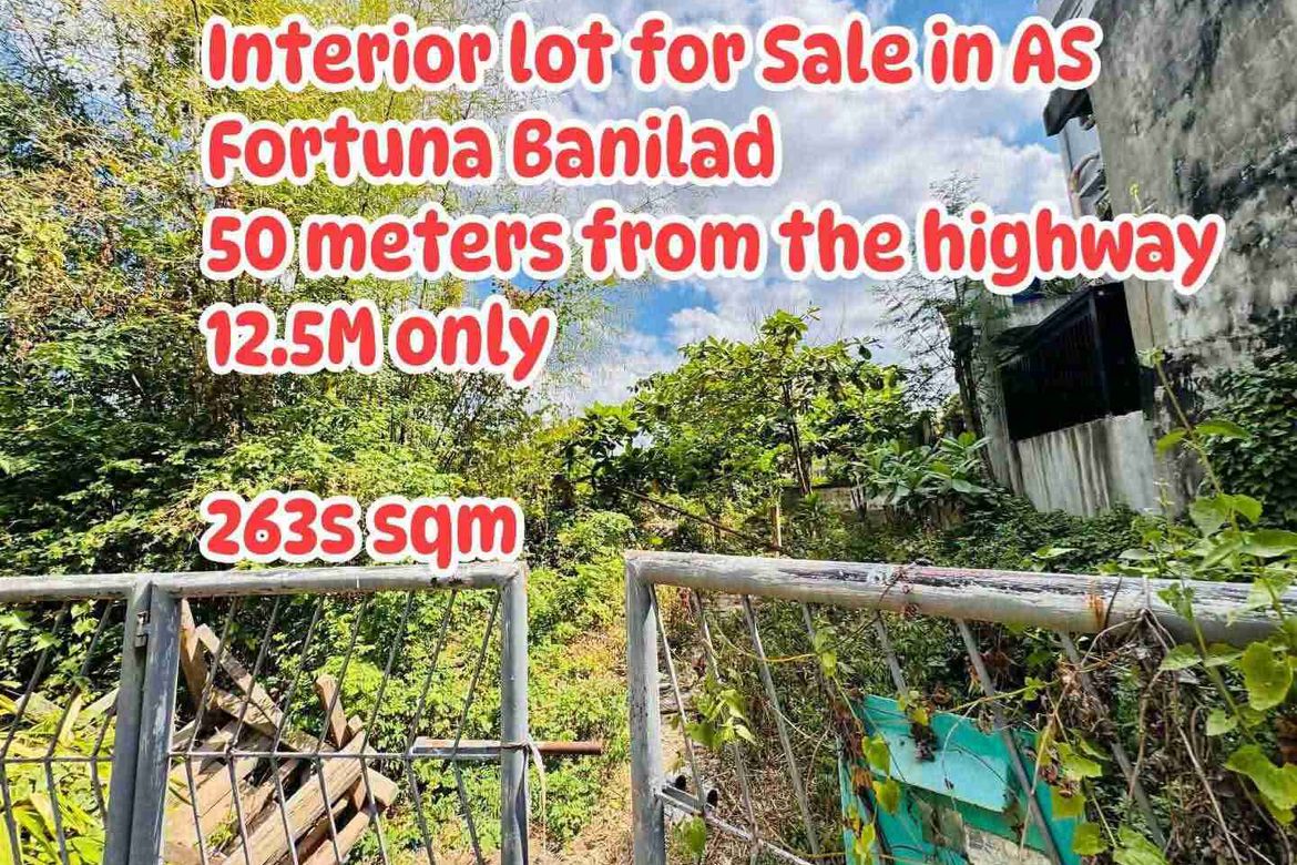 Land for Sale in Banilad, Mandaue, Cebu