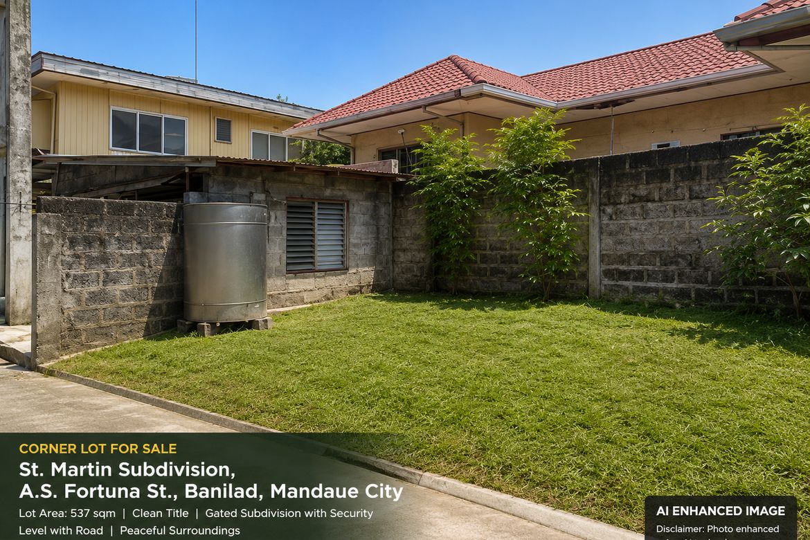 Land for Sale in Banilad, Mandaue, Cebu – photo 4