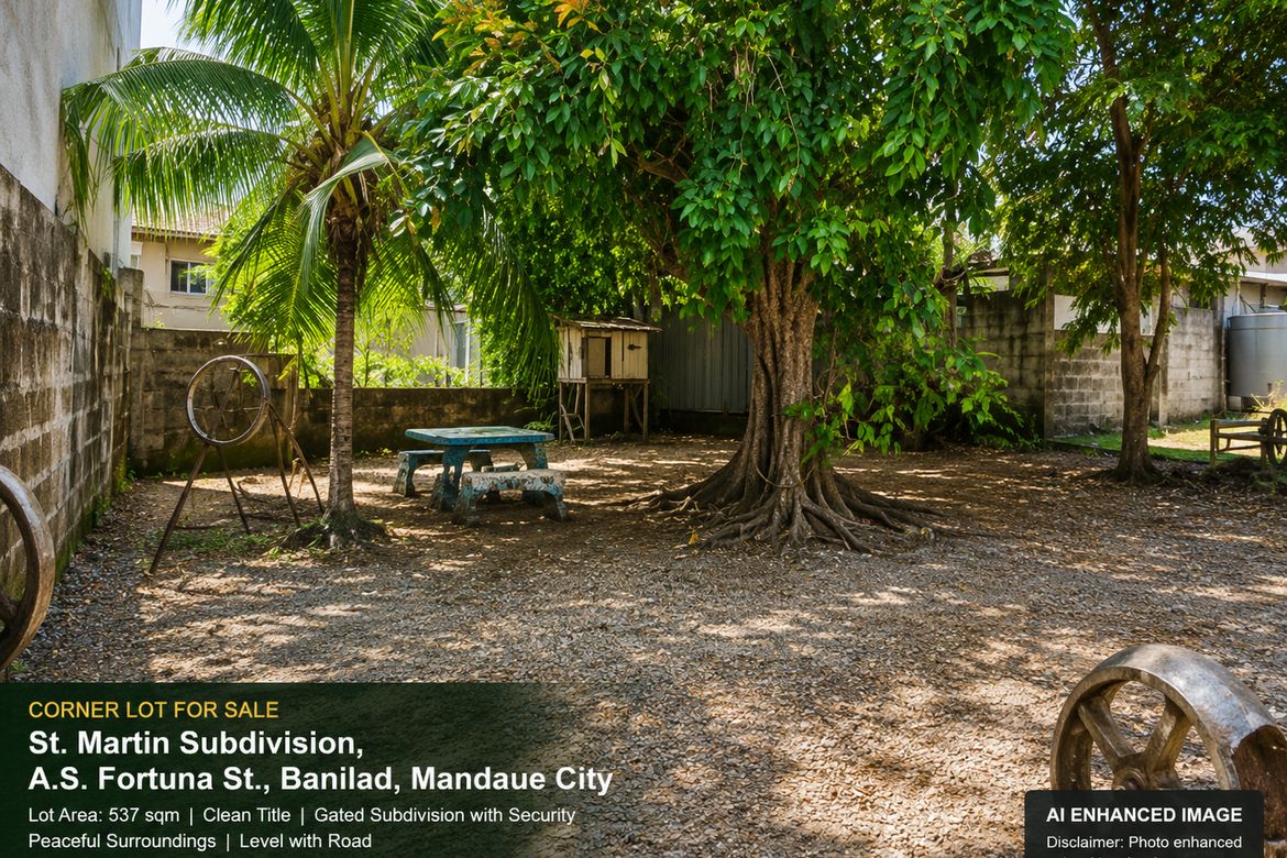 Land for Sale in Banilad, Mandaue, Cebu – photo 5