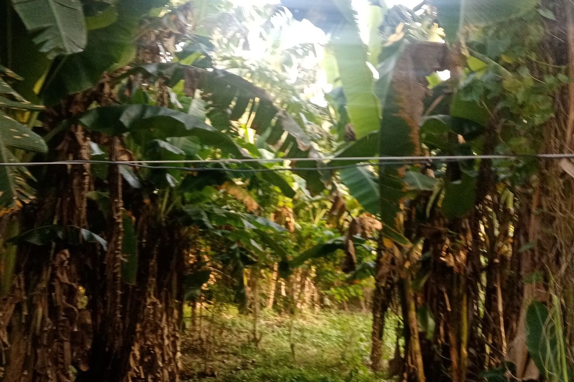 Land for Sale in Banjo Laurel, Tanauan, Batangas – photo 2