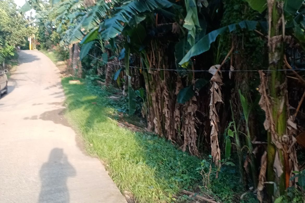Land for Sale in Banjo Laurel, Tanauan, Batangas – photo 4