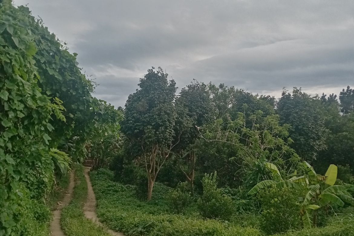 Land for Sale in Banjo Laurel, Tanauan, Batangas – photo 3