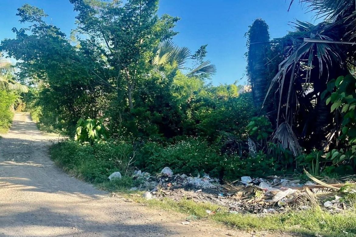 Land for Sale in Bankal, Lapu-Lapu, Cebu – photo 3