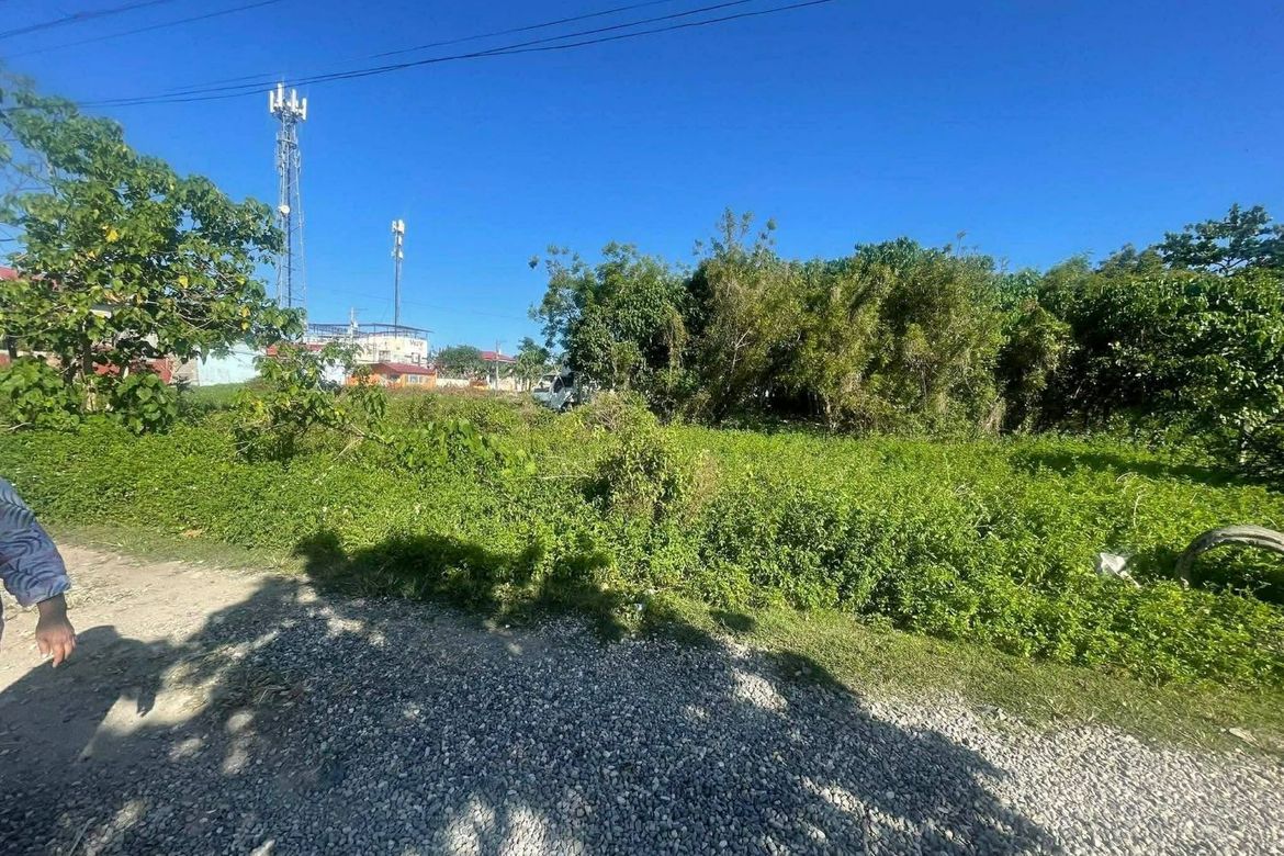 Land for Sale in Bankal, Lapu-Lapu, Cebu – photo 3