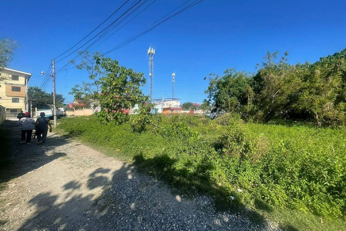 Land for Sale in Bankal, Lapu-Lapu, Cebu – photo 4