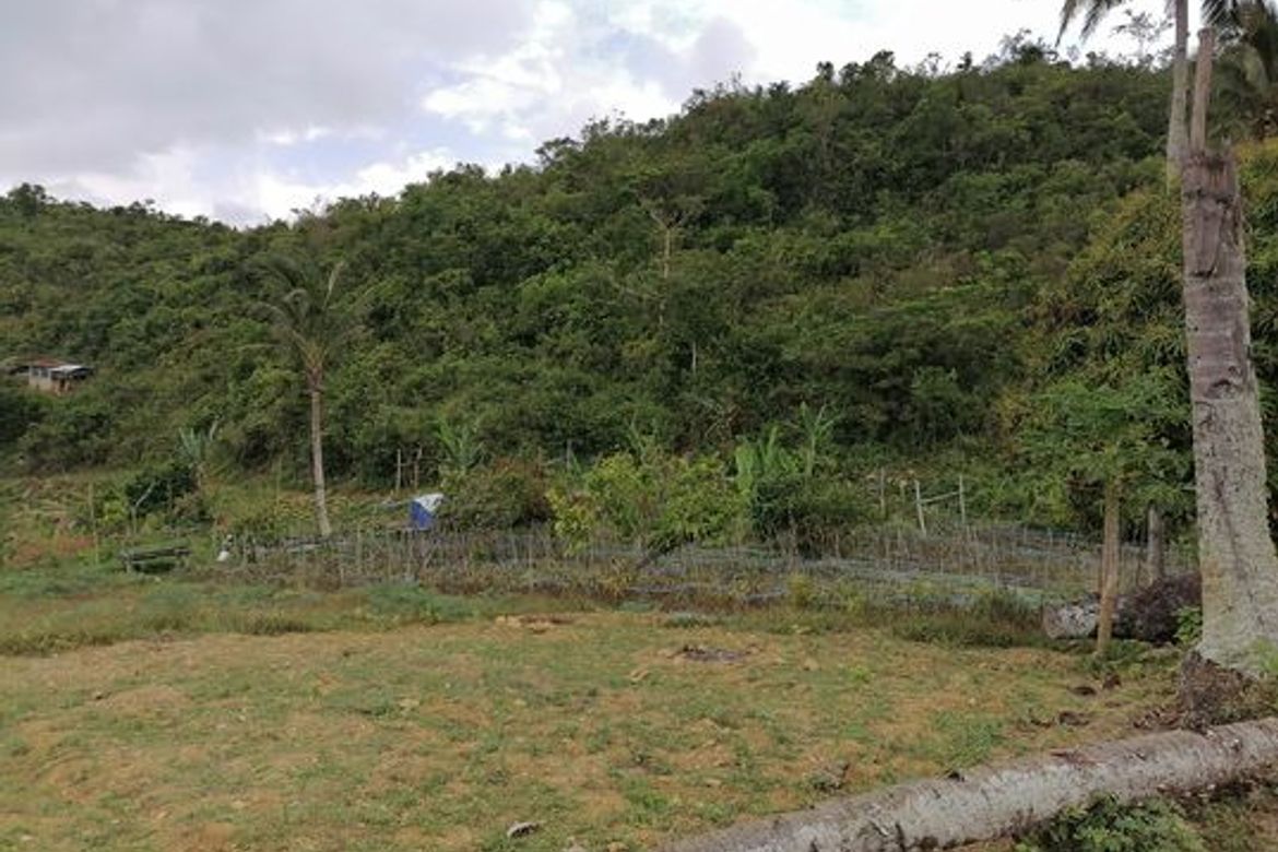 Land for Sale in Banlot, Sibonga, Cebu