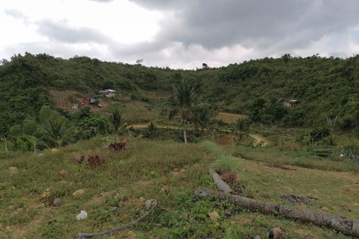 Land for Sale in Banlot, Sibonga, Cebu – photo 2