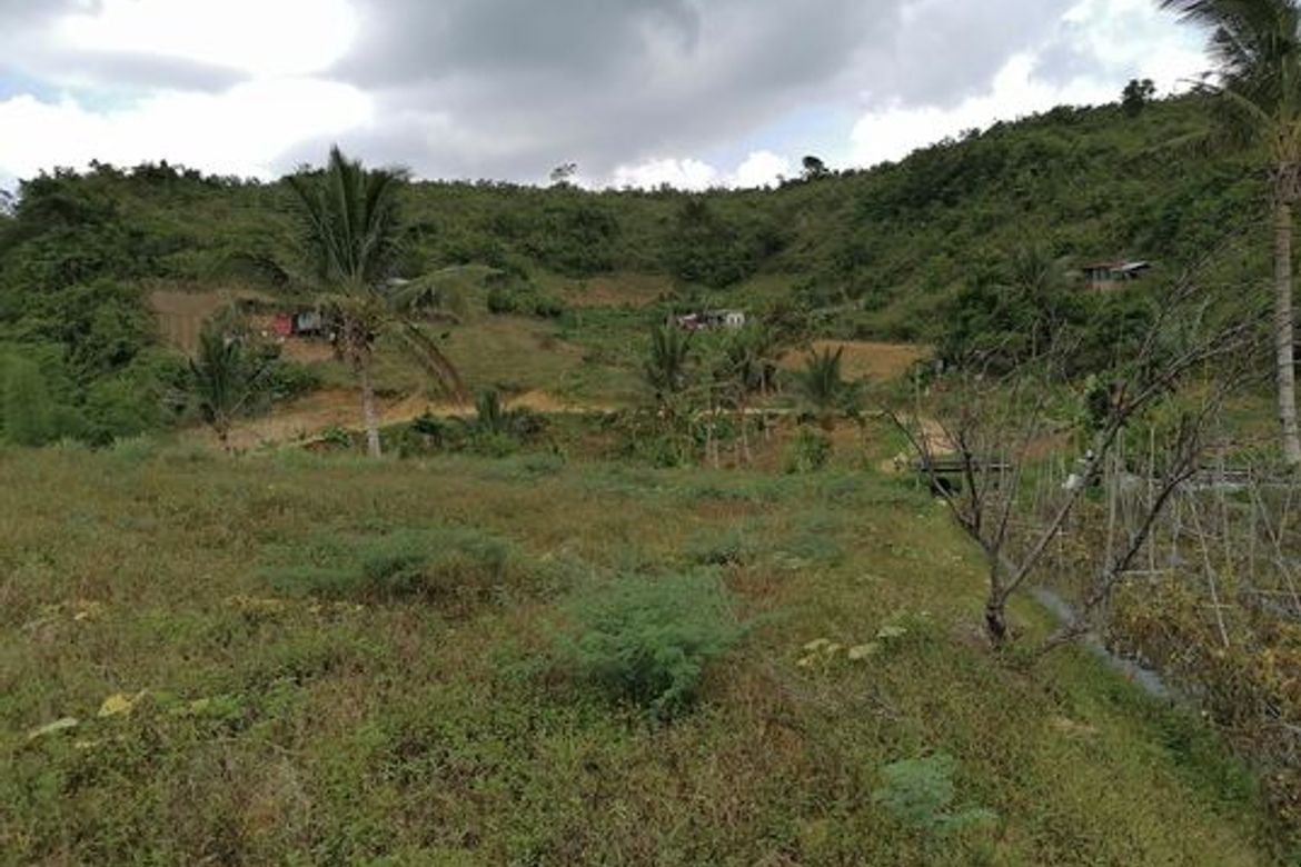 Land for Sale in Banlot, Sibonga, Cebu – photo 5