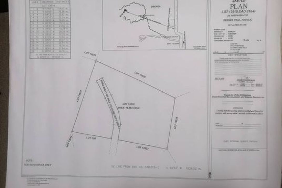 Land for Sale in Banlot, Sibonga, Cebu – photo 7
