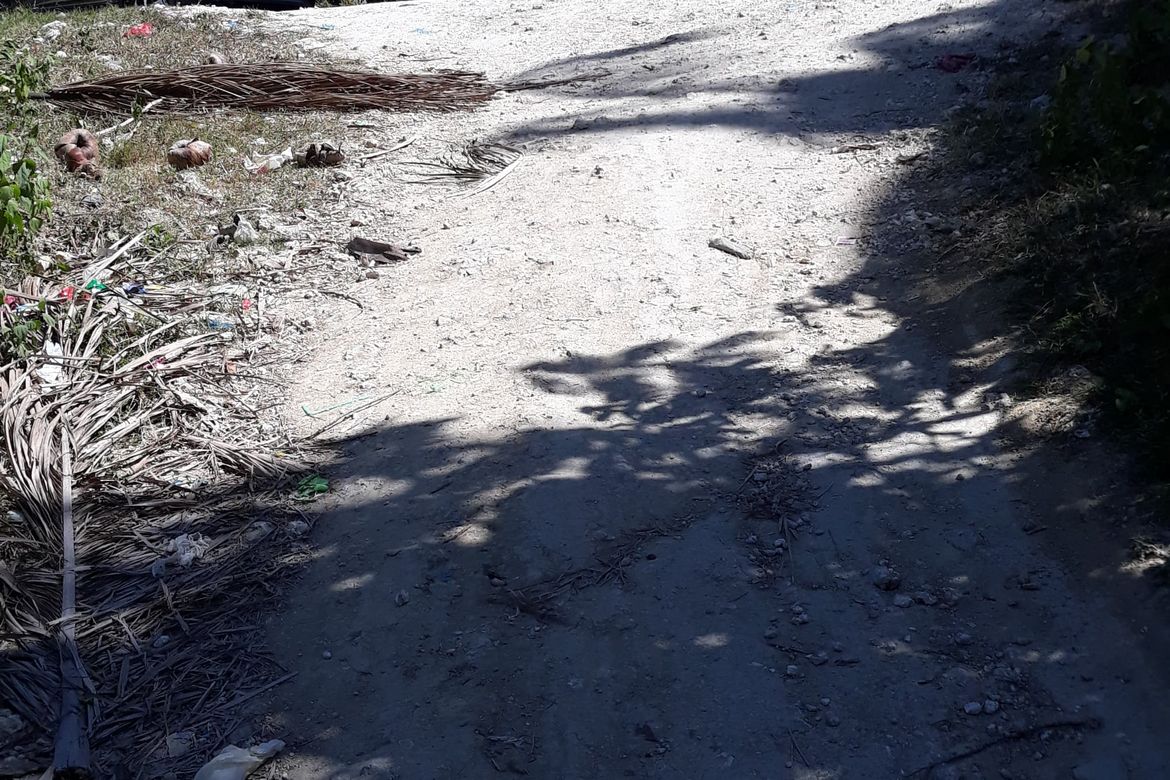 Land for Sale in Banlot, Sibonga, Cebu – photo 7