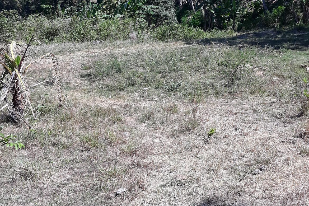 Land for Sale in Banlot, Sibonga, Cebu – photo 8