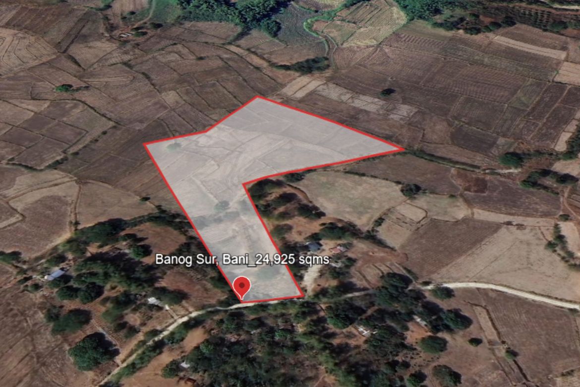 Land for Sale in Banog Sur, Bani, Pangasinan – photo 2