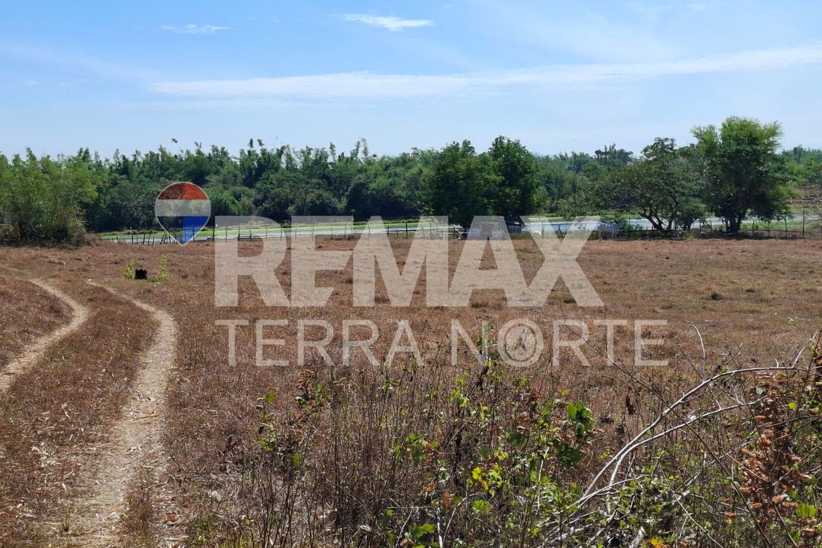Land for Sale in Banog Sur, Bani, Pangasinan – photo 4