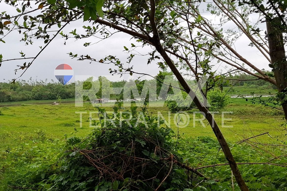 Land for Sale in Banog Sur, Bani, Pangasinan – photo 7