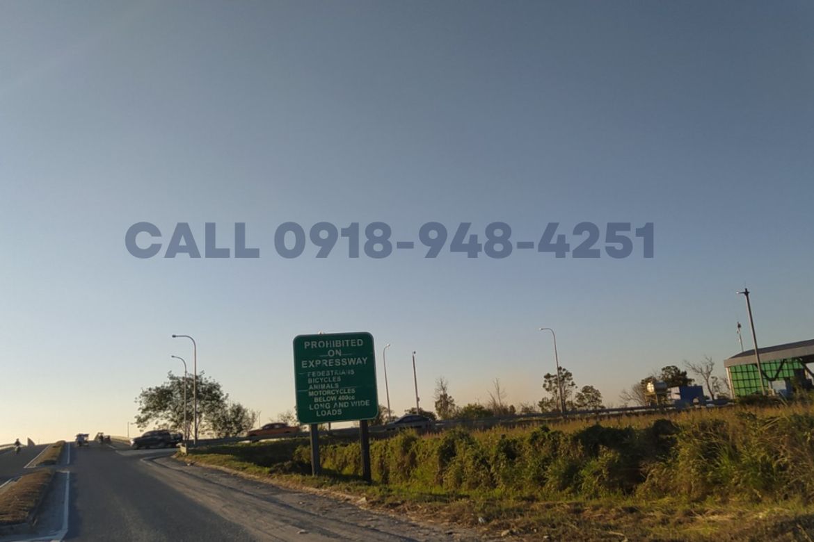 Land for Sale in Bantog, Tarlac, Tarlac – photo 2