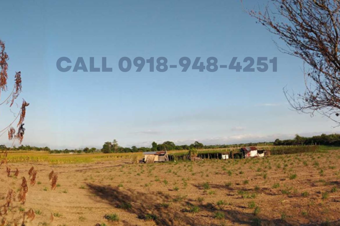 Land for Sale in Bantog, Tarlac, Tarlac – photo 3