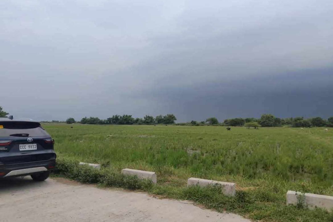 Land for Sale in Bantog, Tarlac, Tarlac – photo 2
