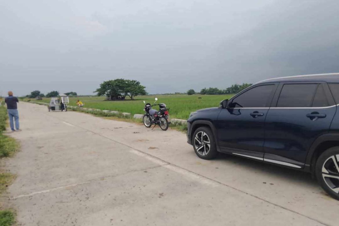 Land for Sale in Bantog, Tarlac, Tarlac – photo 3