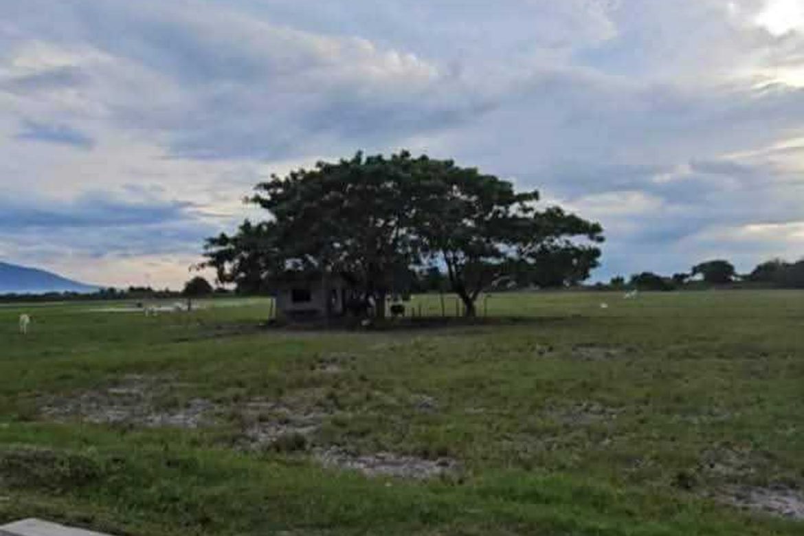 Land for Sale in Bantog, Tarlac, Tarlac – photo 5