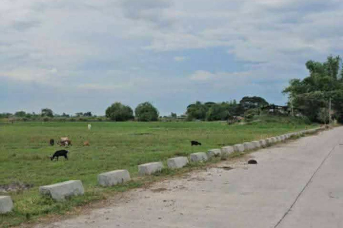 Land for Sale in Bantog, Tarlac, Tarlac – photo 8