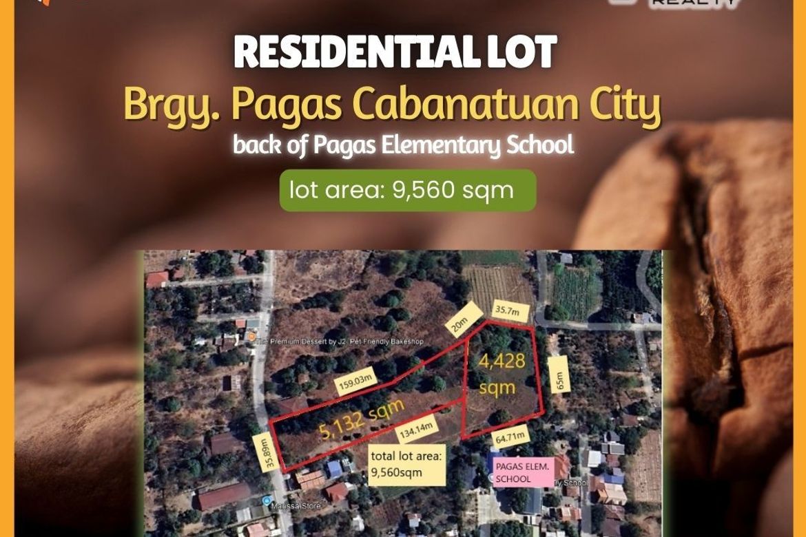 Land for Sale in Bantug Bulalo, Cabanatuan, Nueva Ecija