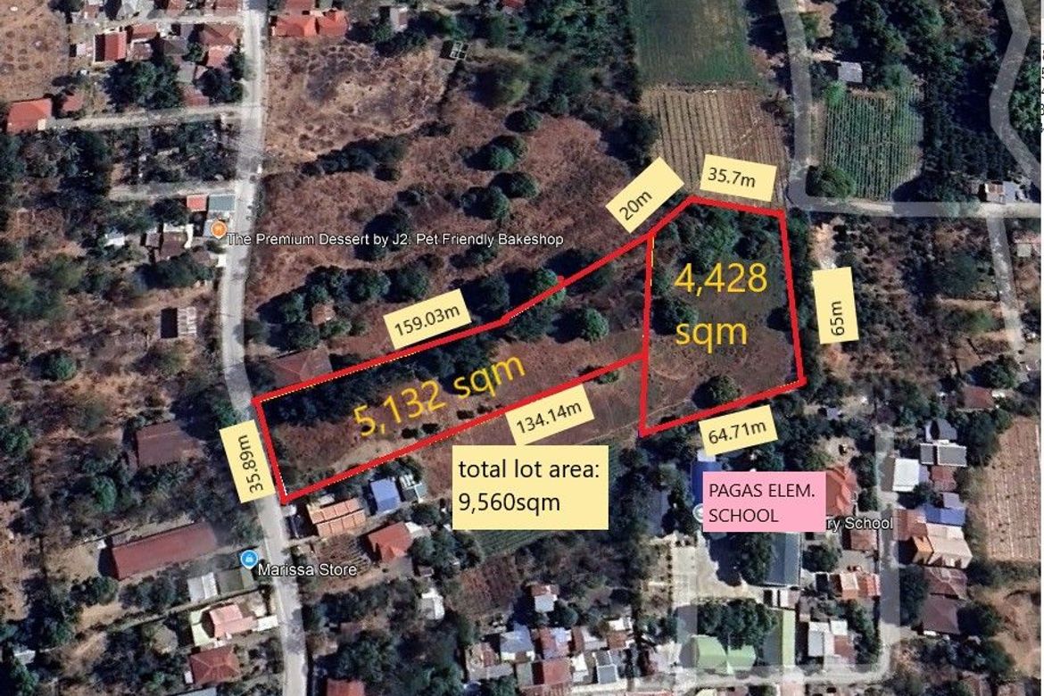 Land for Sale in Bantug Bulalo, Cabanatuan, Nueva Ecija – photo 2
