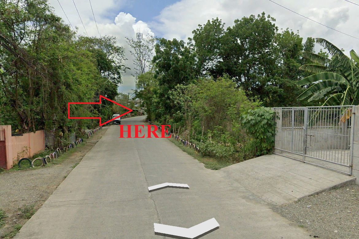 Land for Sale in Bantug Bulalo, Cabanatuan, Nueva Ecija – photo 4