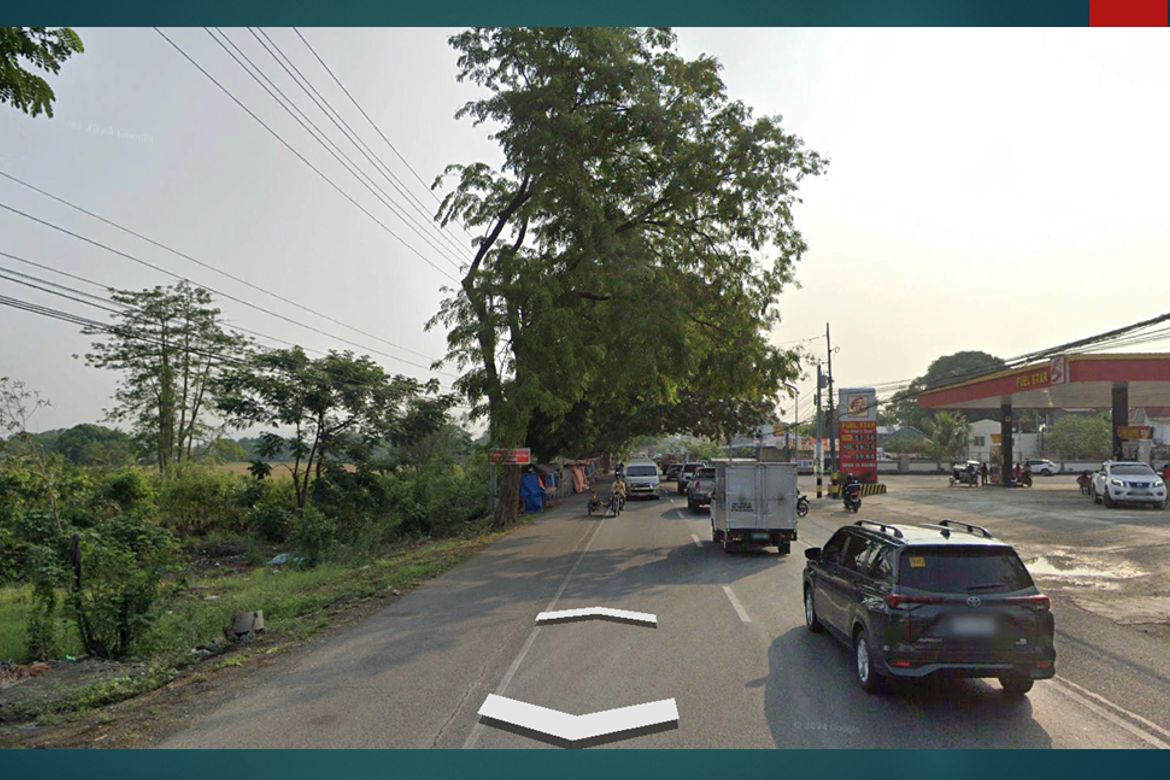Land for Sale in Bantug, Muñoz, Nueva Ecija – photo 5