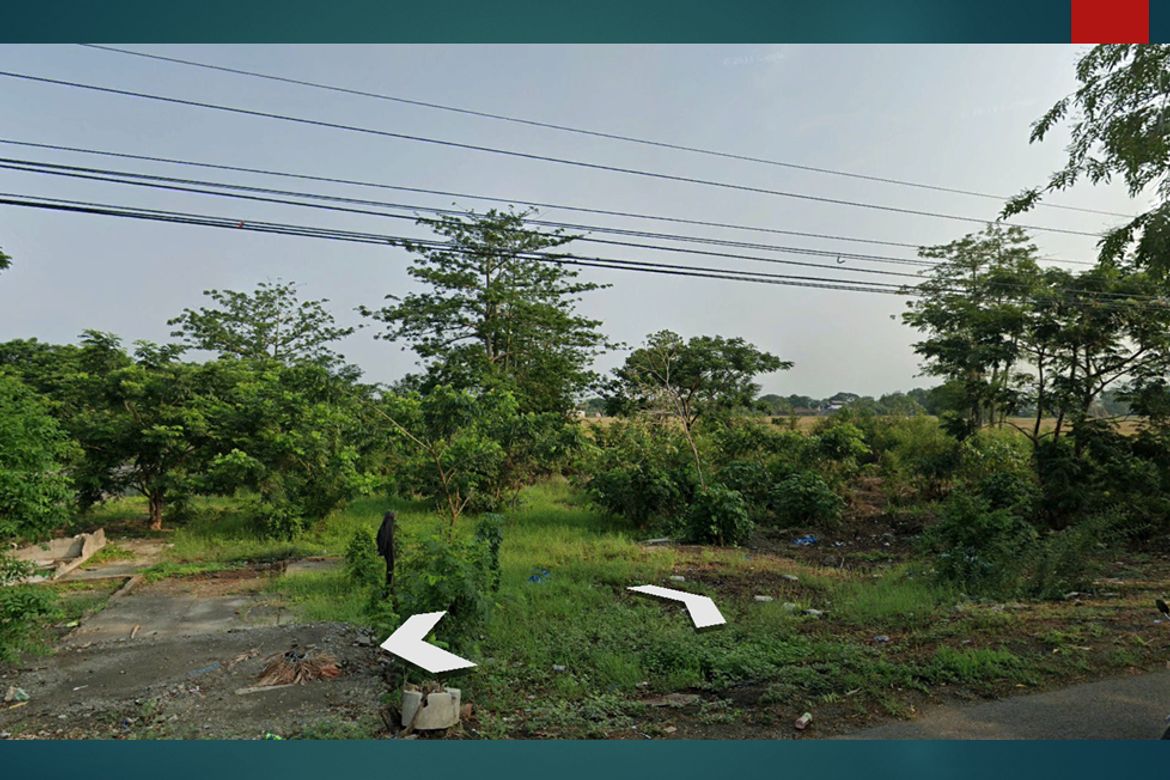 Land for Sale in Bantug, Muñoz, Nueva Ecija – photo 8