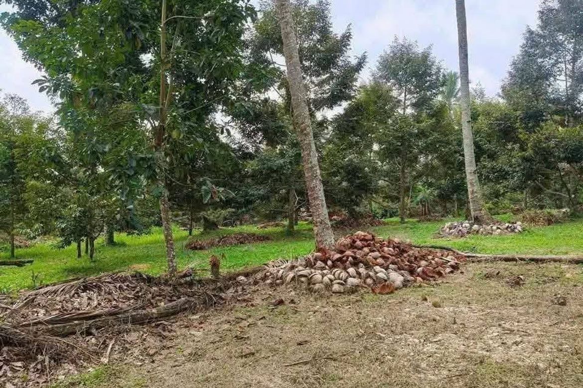 Land for Sale in Baracatan, Davao City, Davao del Sur
