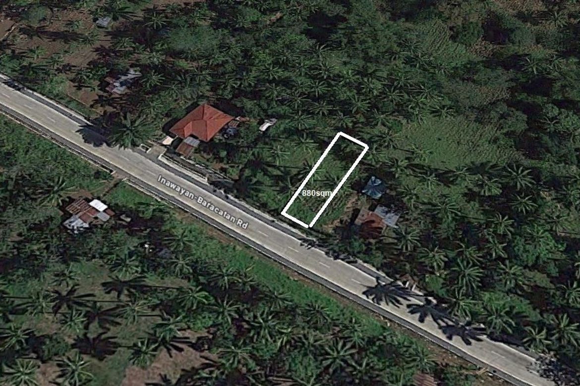 Land for Sale in Baracatan, Davao City, Davao del Sur – photo 3