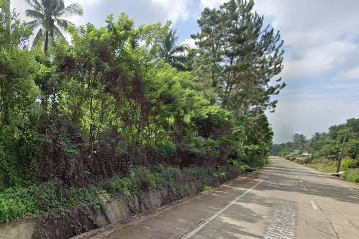 Land for Sale in Baracatan, Davao City, Davao del Sur – photo 4