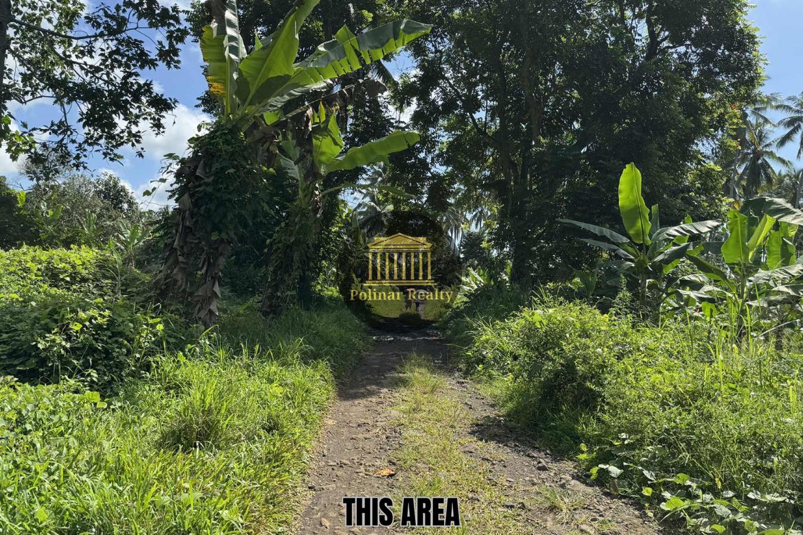 Land for Sale in Baracatan, Davao City, Davao del Sur – photo 5