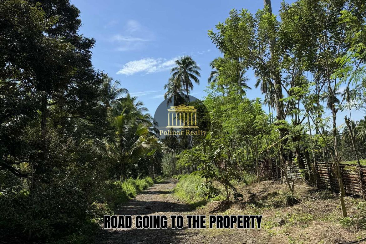 Land for Sale in Baracatan, Davao City, Davao del Sur – photo 7