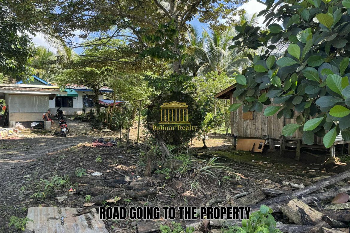 Land for Sale in Baracatan, Davao City, Davao del Sur – photo 8