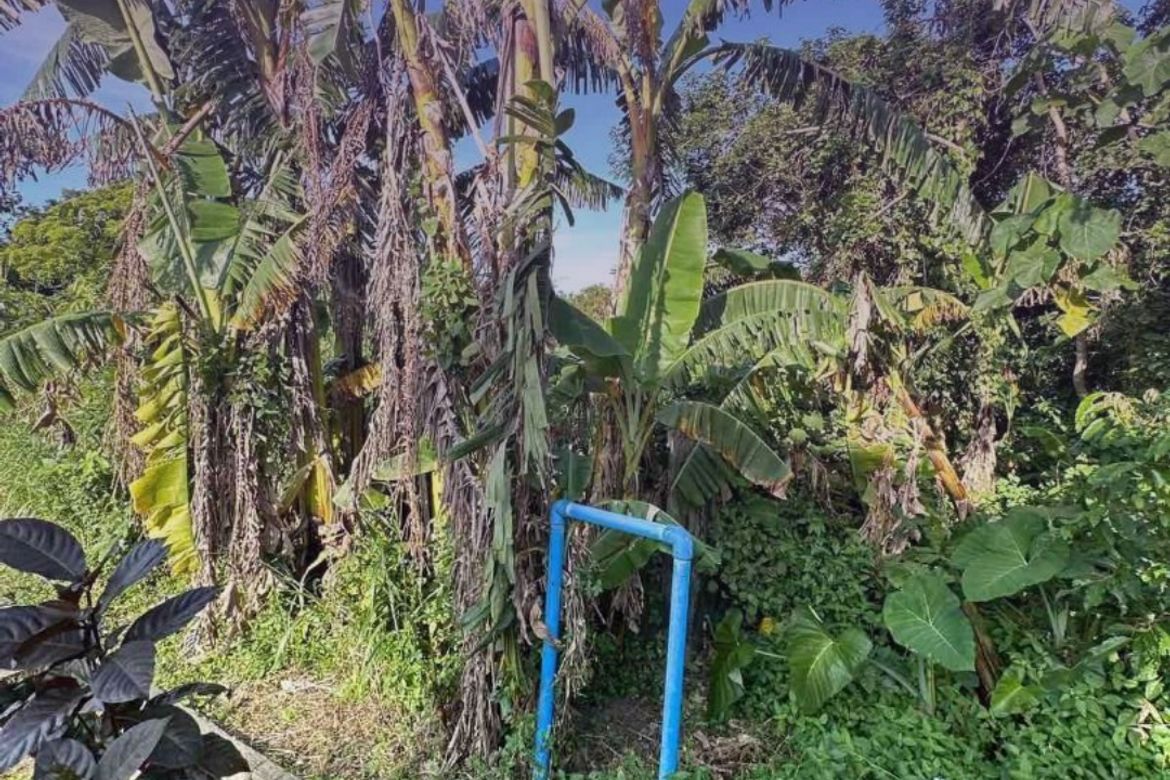 Land for Sale in Barangay 1, Magallanes, Cavite – photo 3