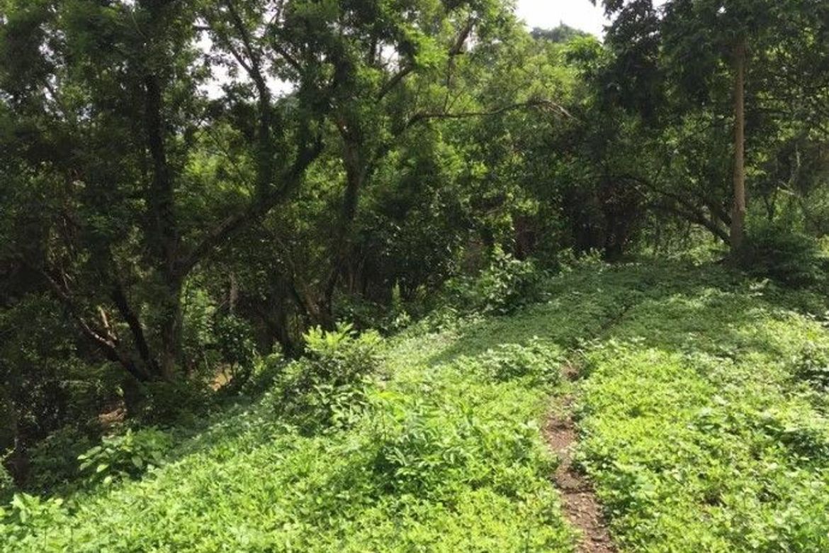 Land for Sale in Barangay 16, Batangas City, Batangas – photo 3